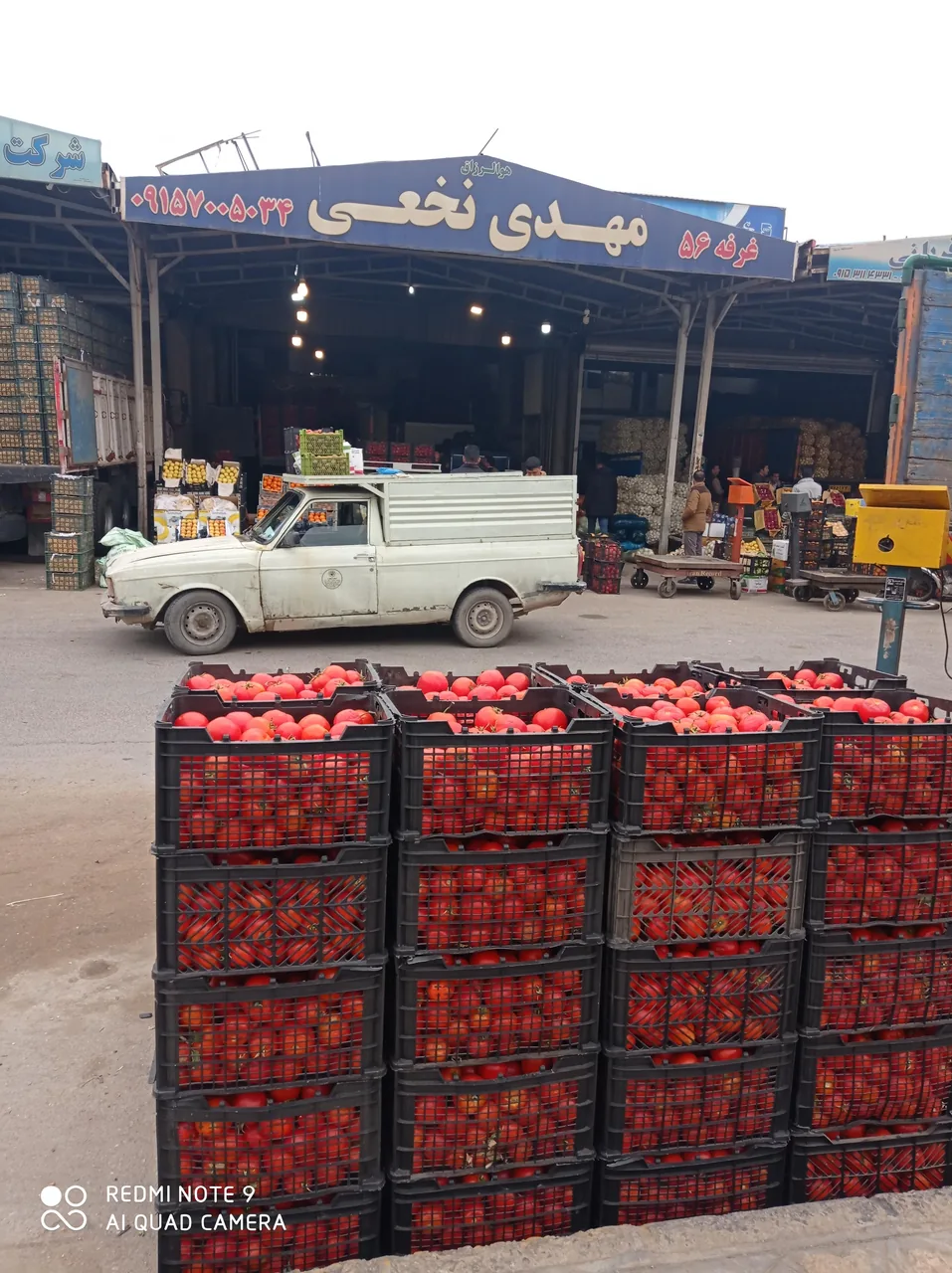 میوه و تره بار و امانت فروشی مهدی نخعی کاشمری - تصویر 3