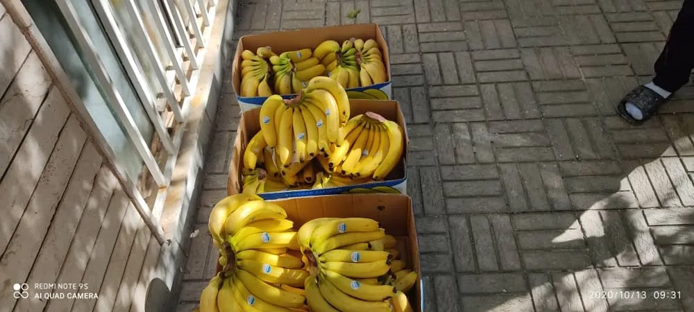 سوپر میوه دستچین - تصویر 2