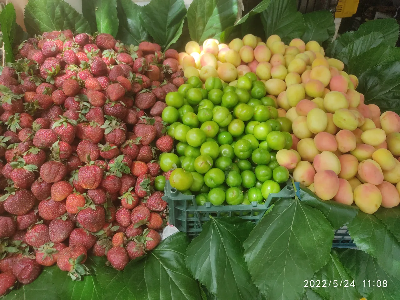 سوپر میوه دستچین - تصویر 4
