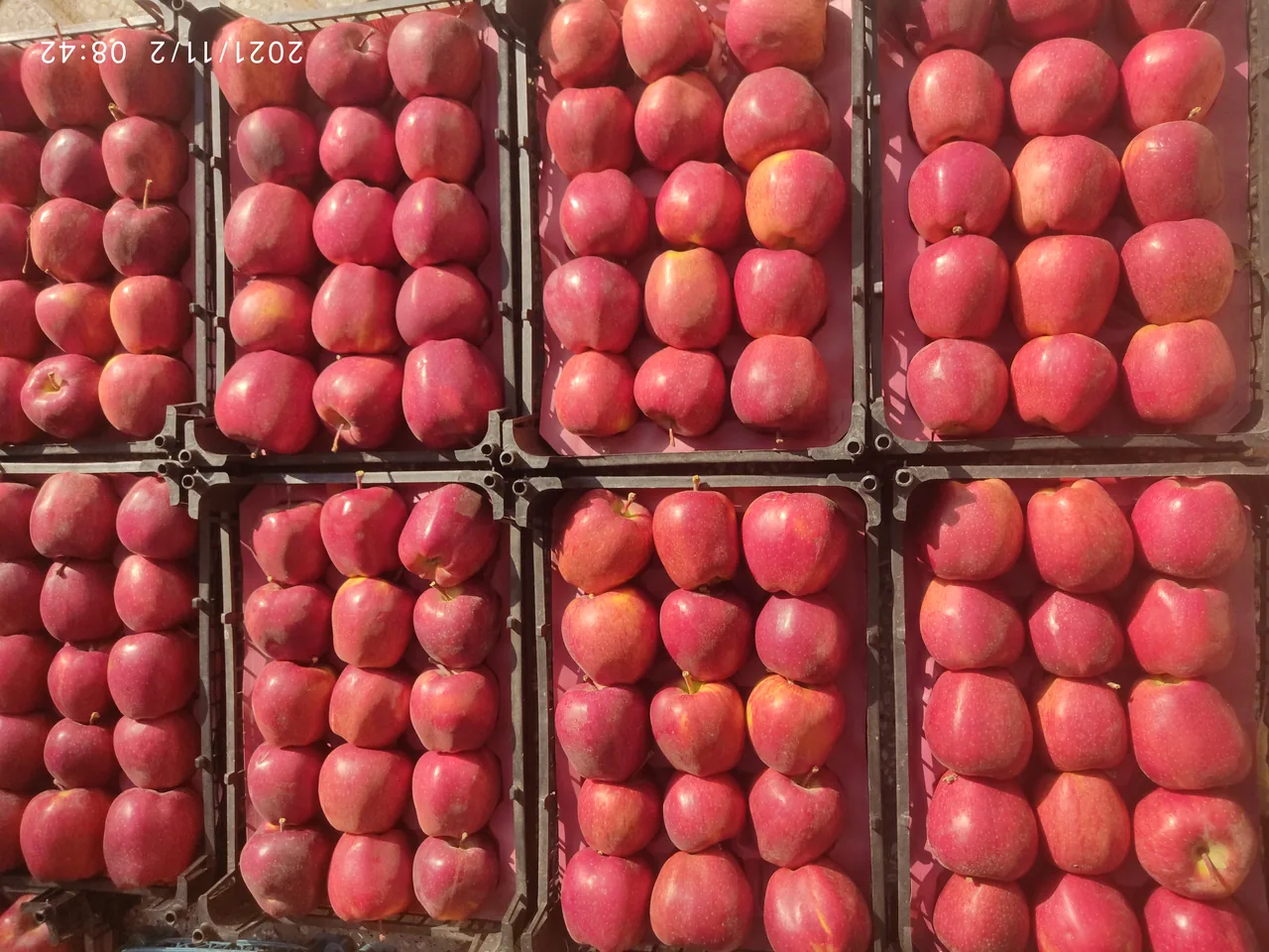 سوپر میوه دستچین - تصویر 5
