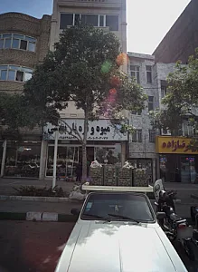 میوه و تره بار بخشی