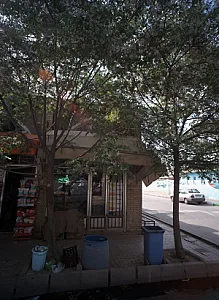 میوه فروشی چهار فصل