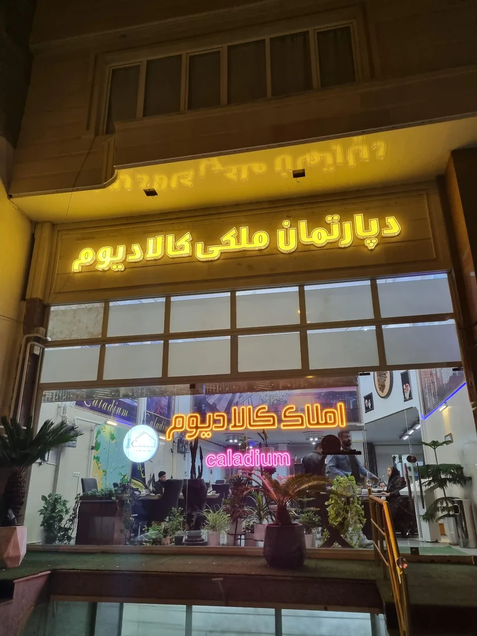 دپارتمان ملکی کالادیوم - مشاور املاک و بنگاه در ارومیه - تصویر 2