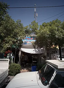 سوپر میوه گندم