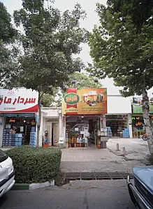 فروشگاه سبزیجات آماده نارنج