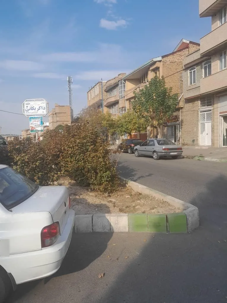 تاکسی ترن - تصویر 2