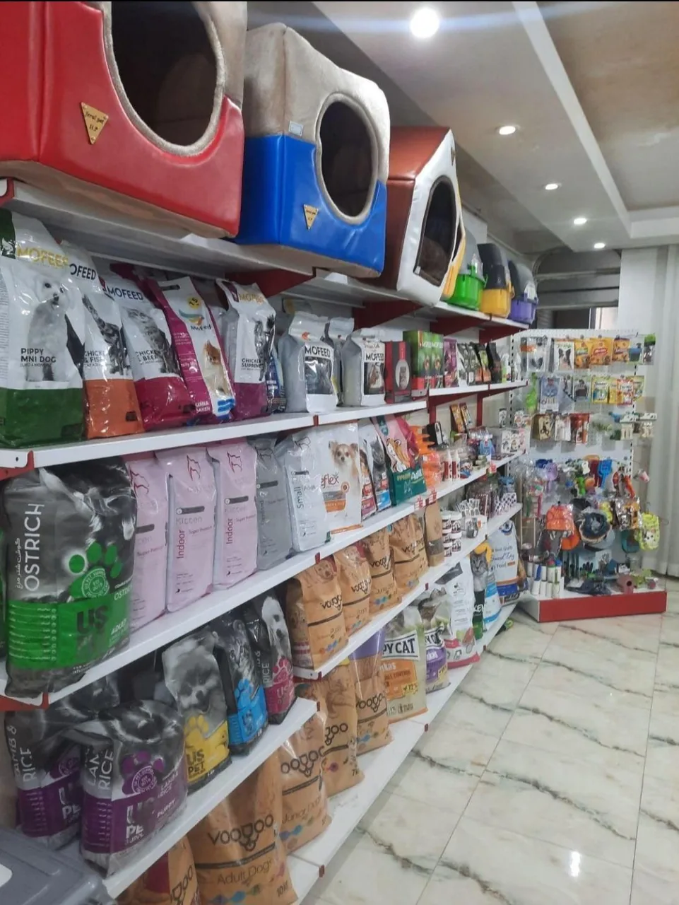 کلینیک دامپزشکی رویال - تصویر 2