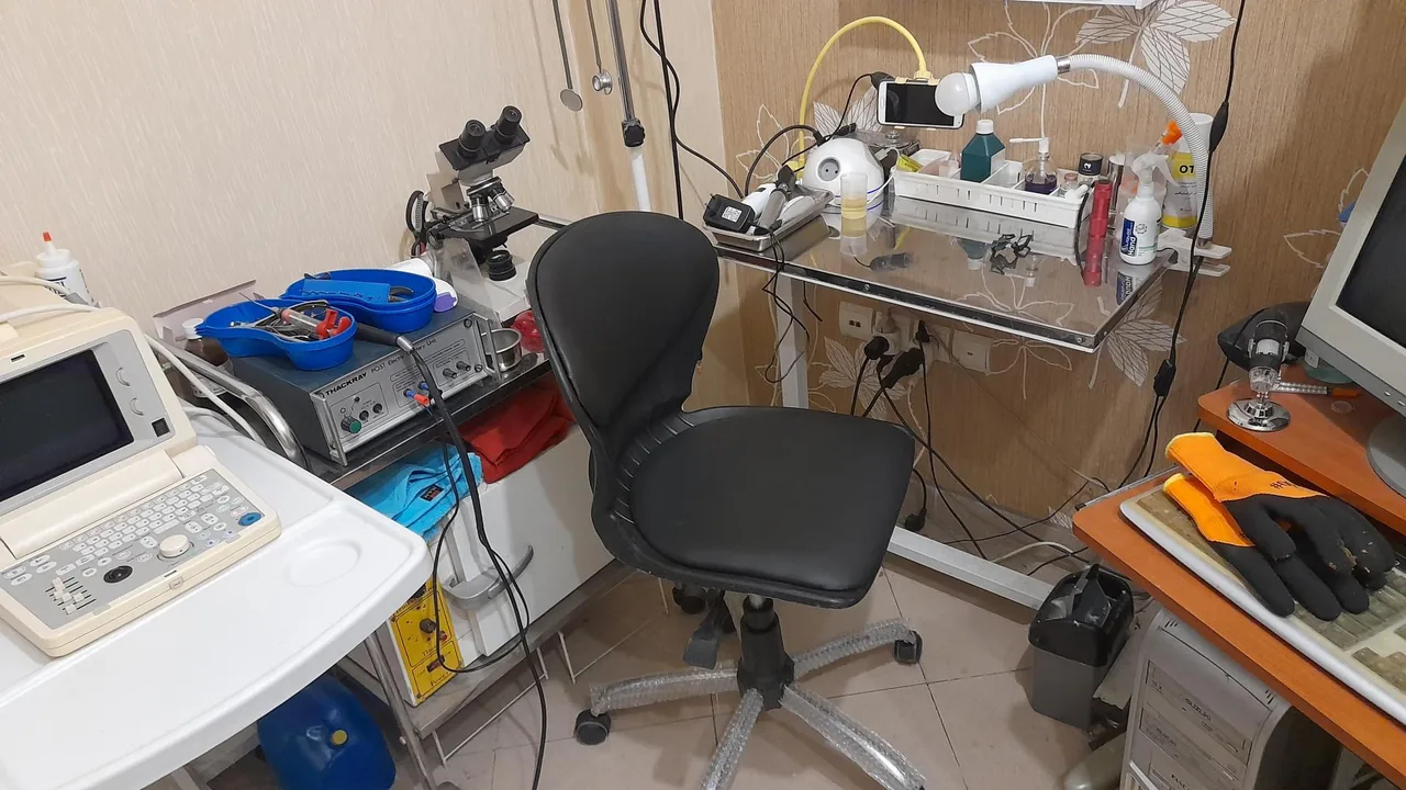 کلینیک دامپزشکی پرندگان دکتر امینی