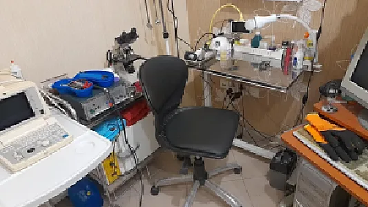 کلینیک دامپزشکی پرندگان دکتر امینی