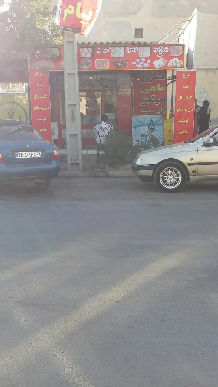 مرغ و ماهی