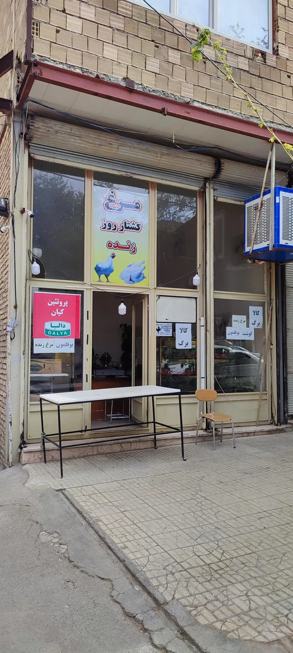 مرغ فروشی کیان مهر