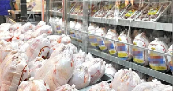 مرغ فروشی ترنج