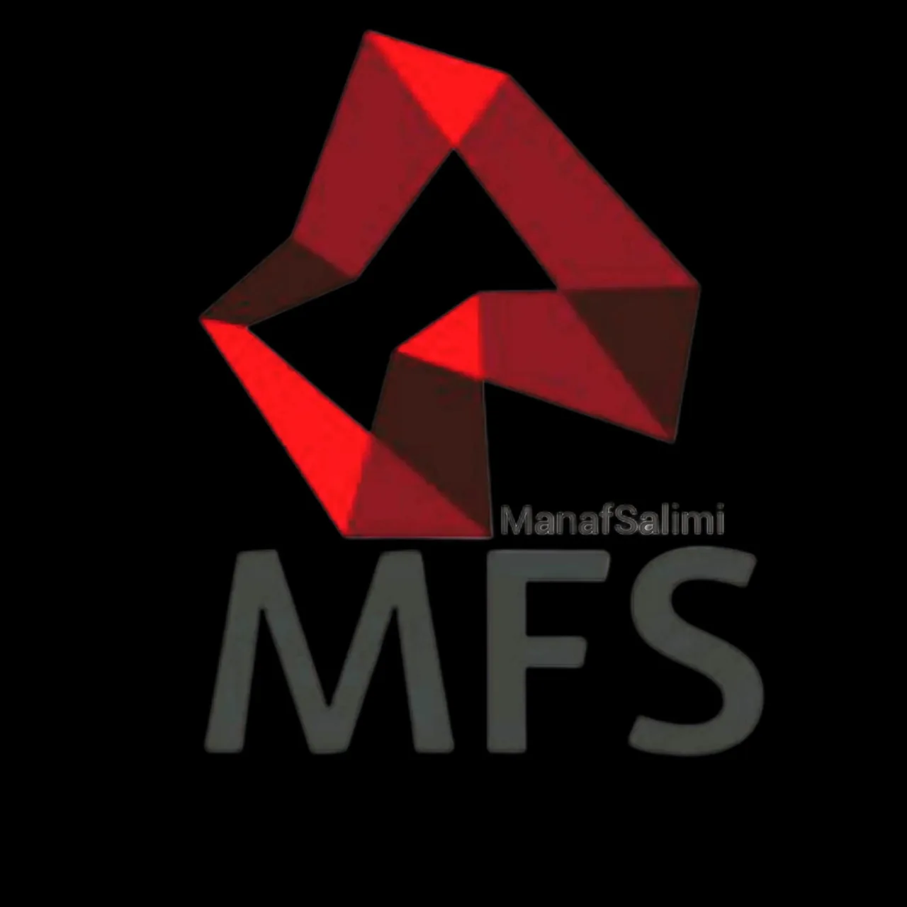 خدمات خودروی نصب بادیفنس MFS - تصویر 2