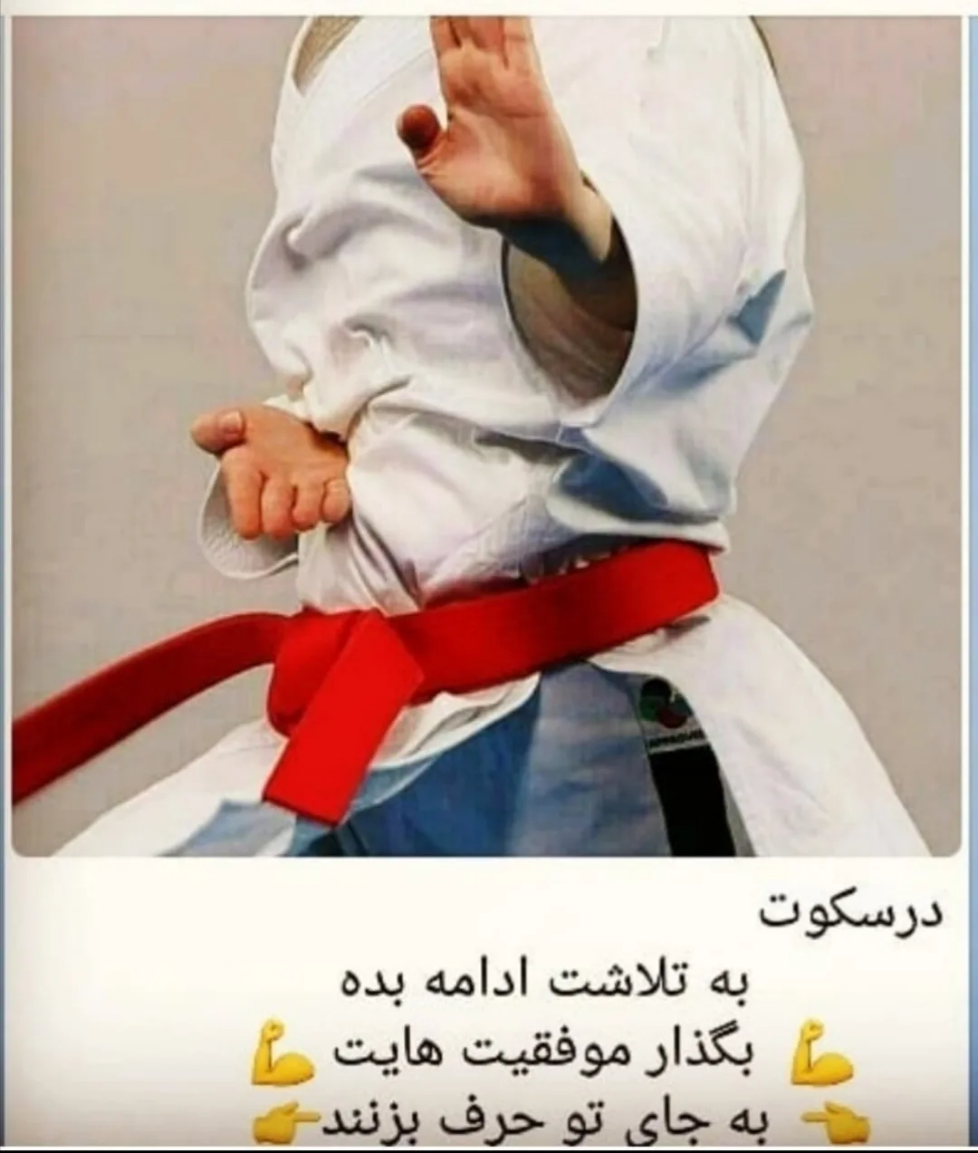 مجموعه ورزشی سپیدار - تصویر 2