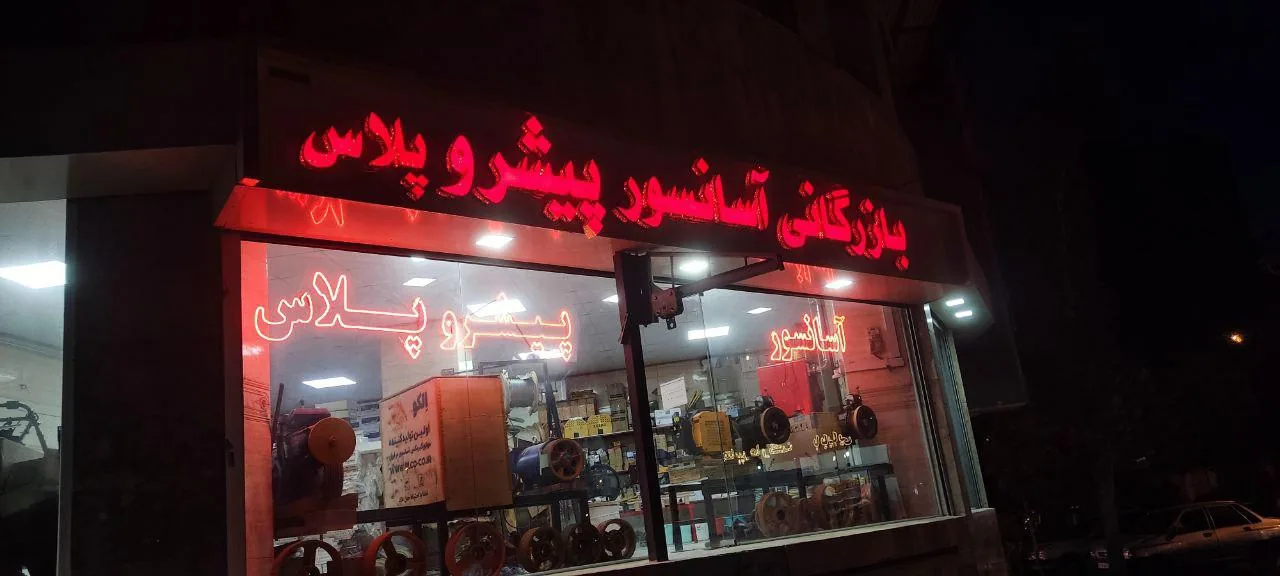 بازرگانی آسانسور پیشرو پلاس - تصویر 3