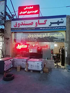 فروشگاه شهر گاوصندوق