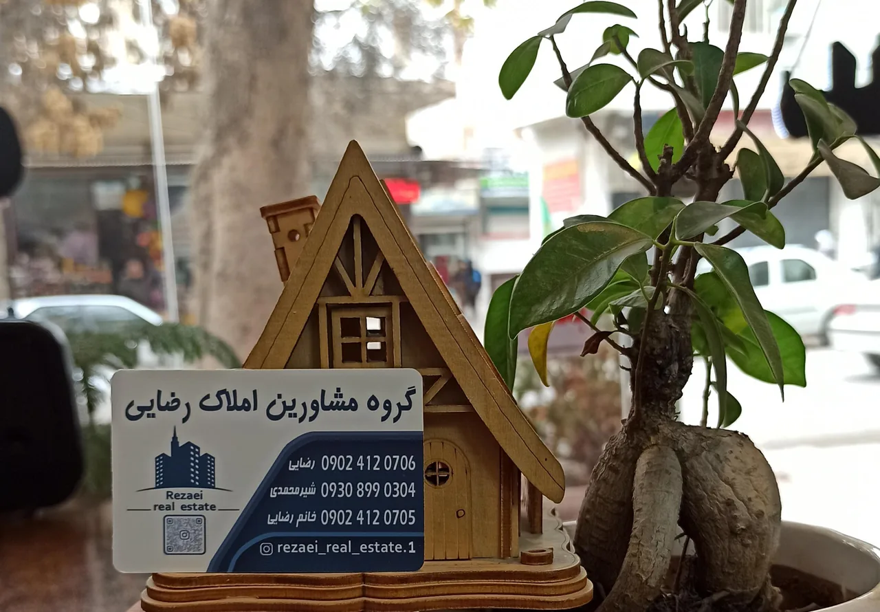 مشاور املاک رضایی
