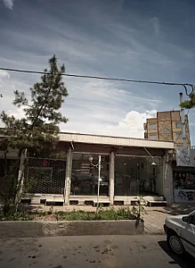 پرده نویسی دار