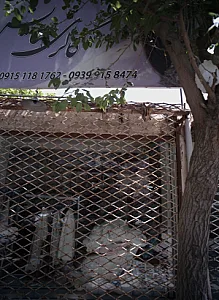 گالری سایش