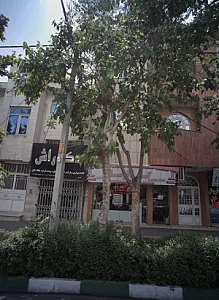 دکو راش
