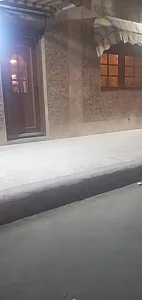 کافه کاکتوس