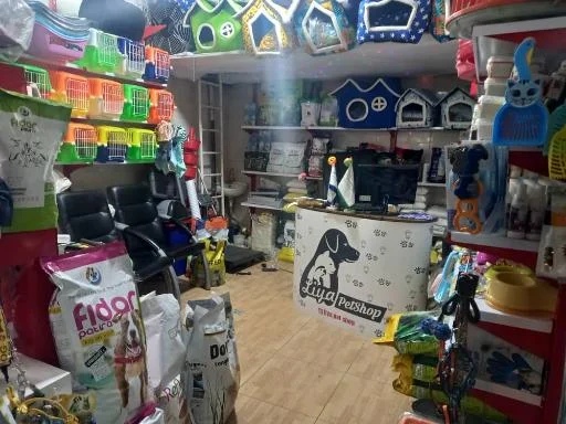 خدمات حیوانات لیا