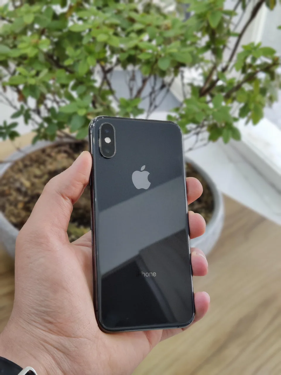 اپل استور پینک پارک - تصویر 3