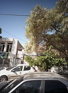 گالری پرده آریا