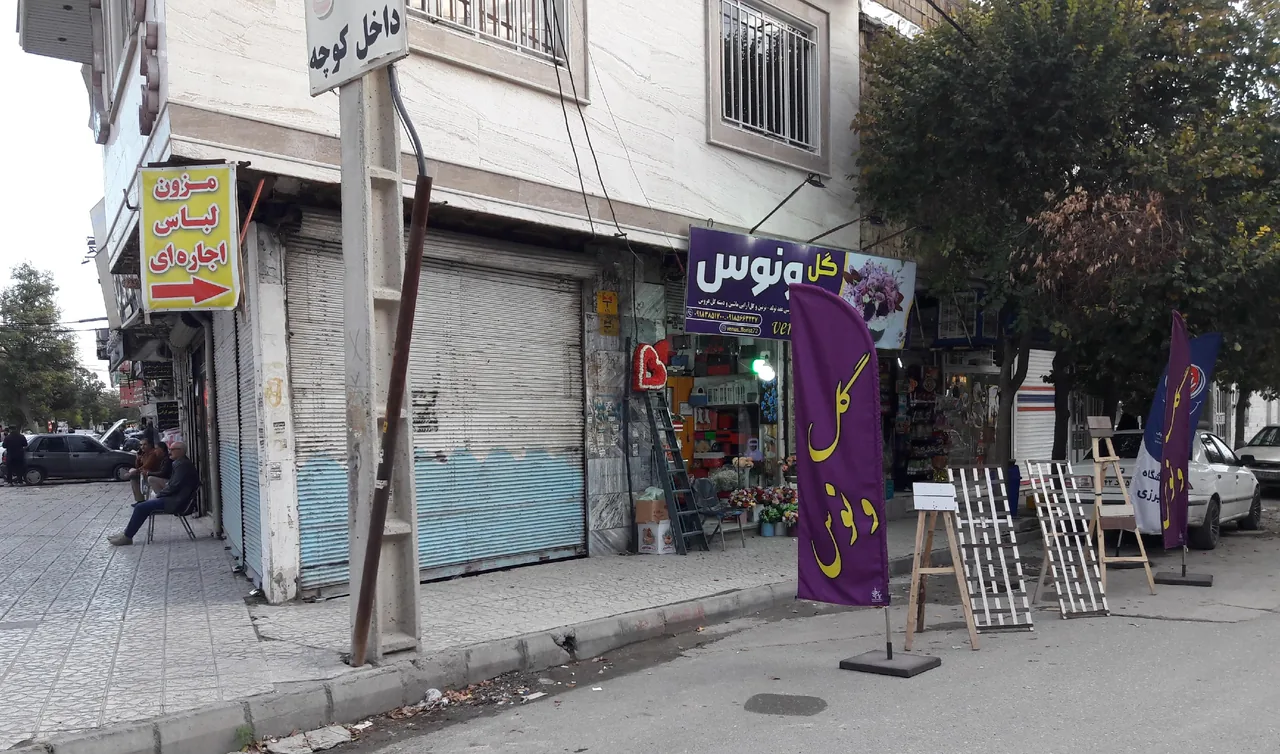 گلفروشی ونوس - تصویر 2