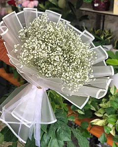 گل فروشی کنتیا