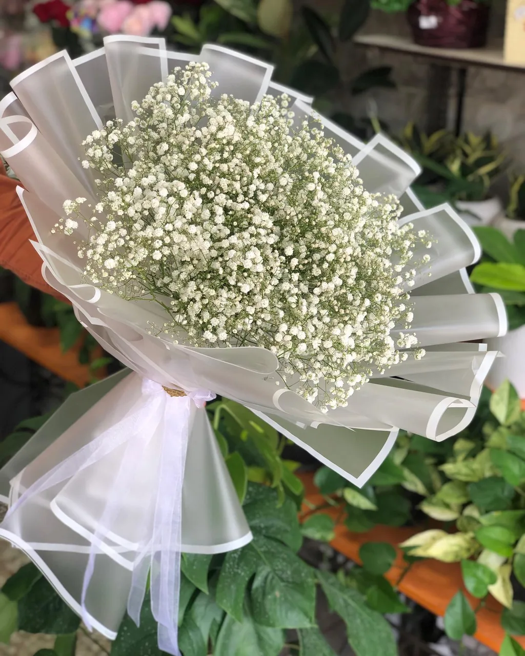 گل فروشی کنتیا