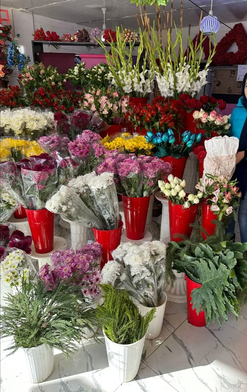 گلکده پارمیدا - تصویر 3