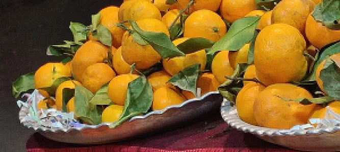 هایپر میوه همایون