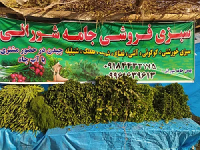 سبزی فروشی بهمن جامه شورانی