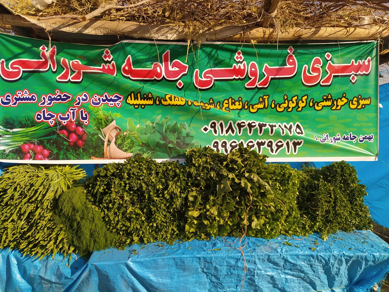 سبزی فروشی بهمن جامه شورانی