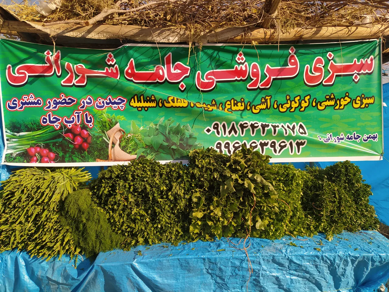 سبزی فروشی بهمن جامه شورانی - تصویر 2
