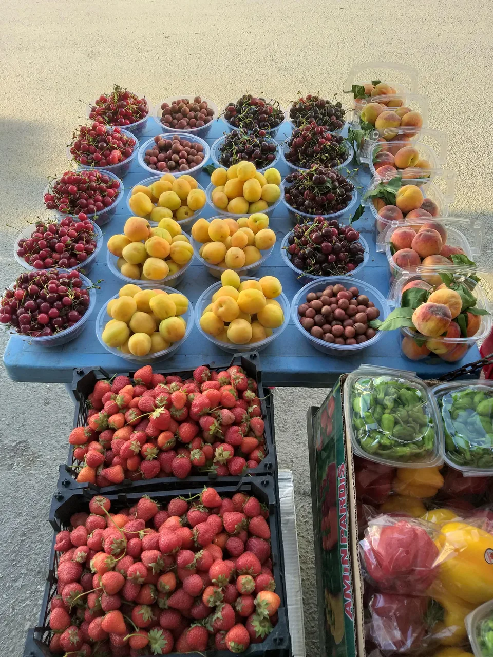 میوه فروشی کیوان - تصویر 3
