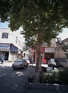 تزئینات جانانه