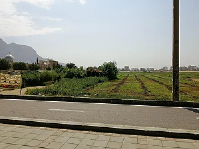 سبزی فروشی موسوی