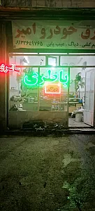 برق خودرو امیر