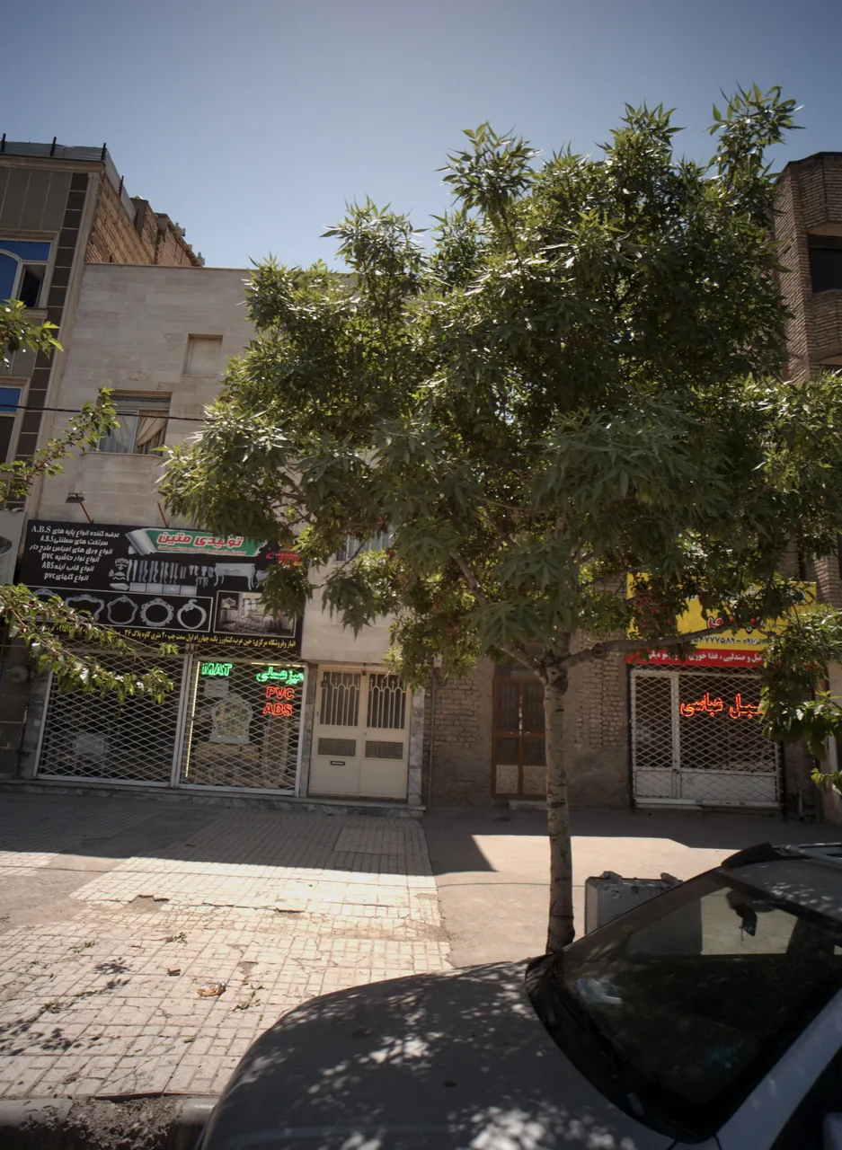 تولیدی متین