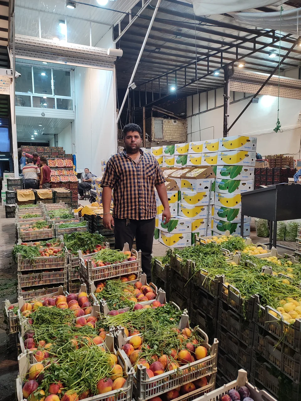 بازرگانی حاج نعمت میری و پسران