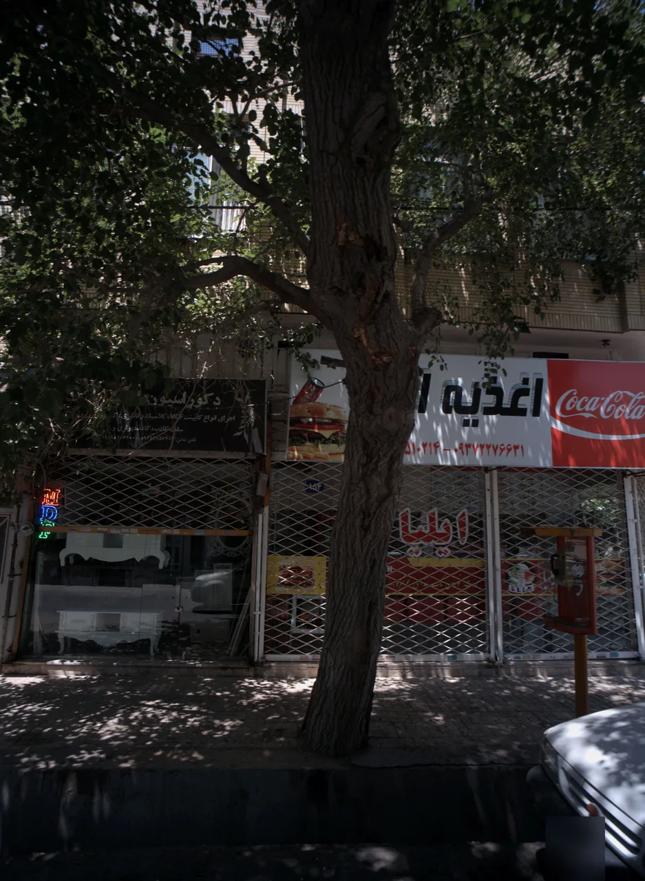 دکوراسیون