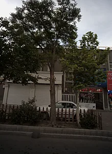 دکوراسیون داخلی یونیکا