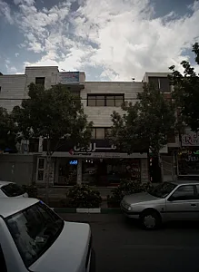 پیش رو چوب سنباد