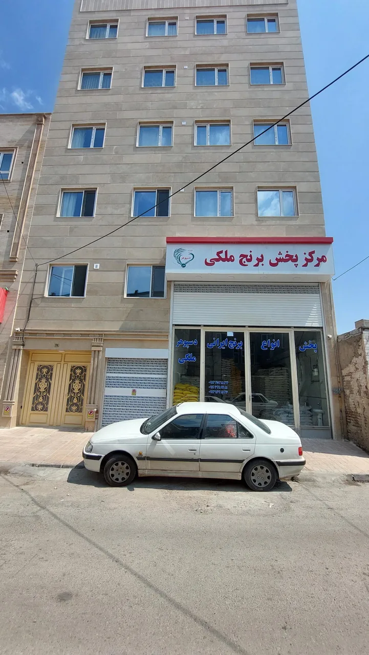 برنج ملکی - تصویر 3