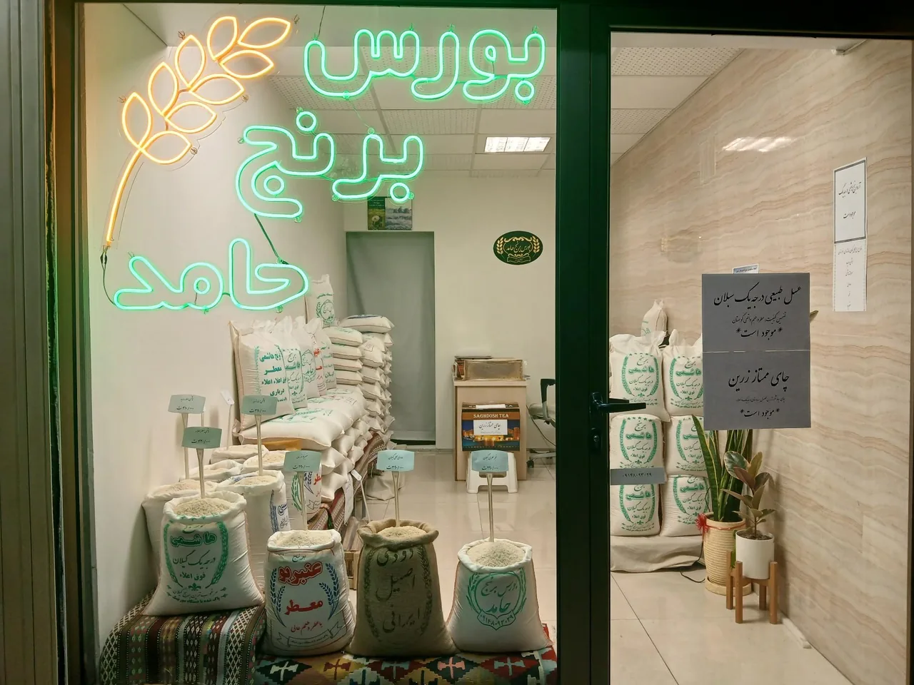 بورس برنج حامد