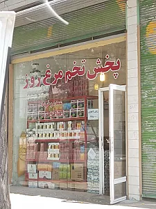 پخش مواد غذایی و تخم مرغ روز