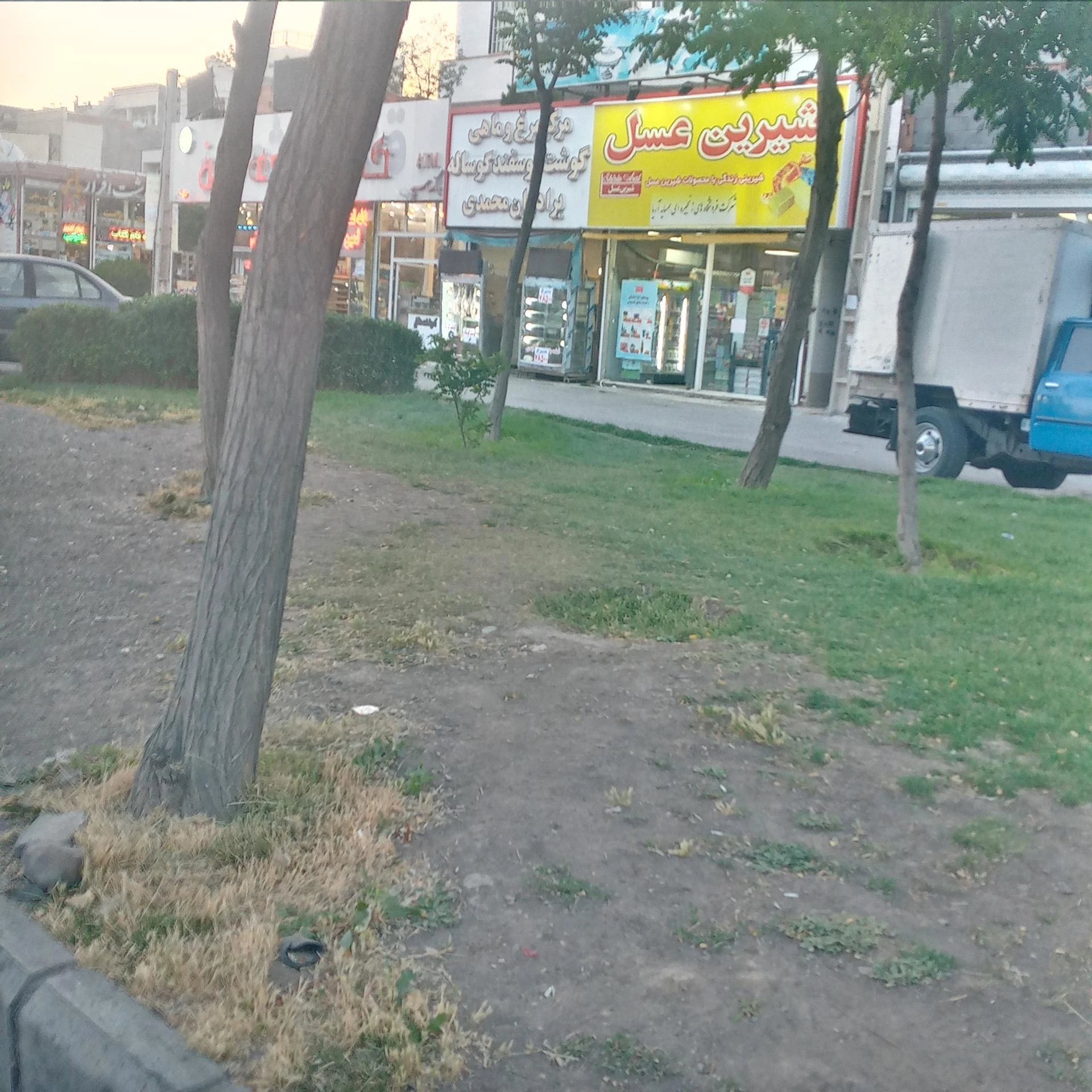 فروشگاه شیرین عسل - تصویر 2