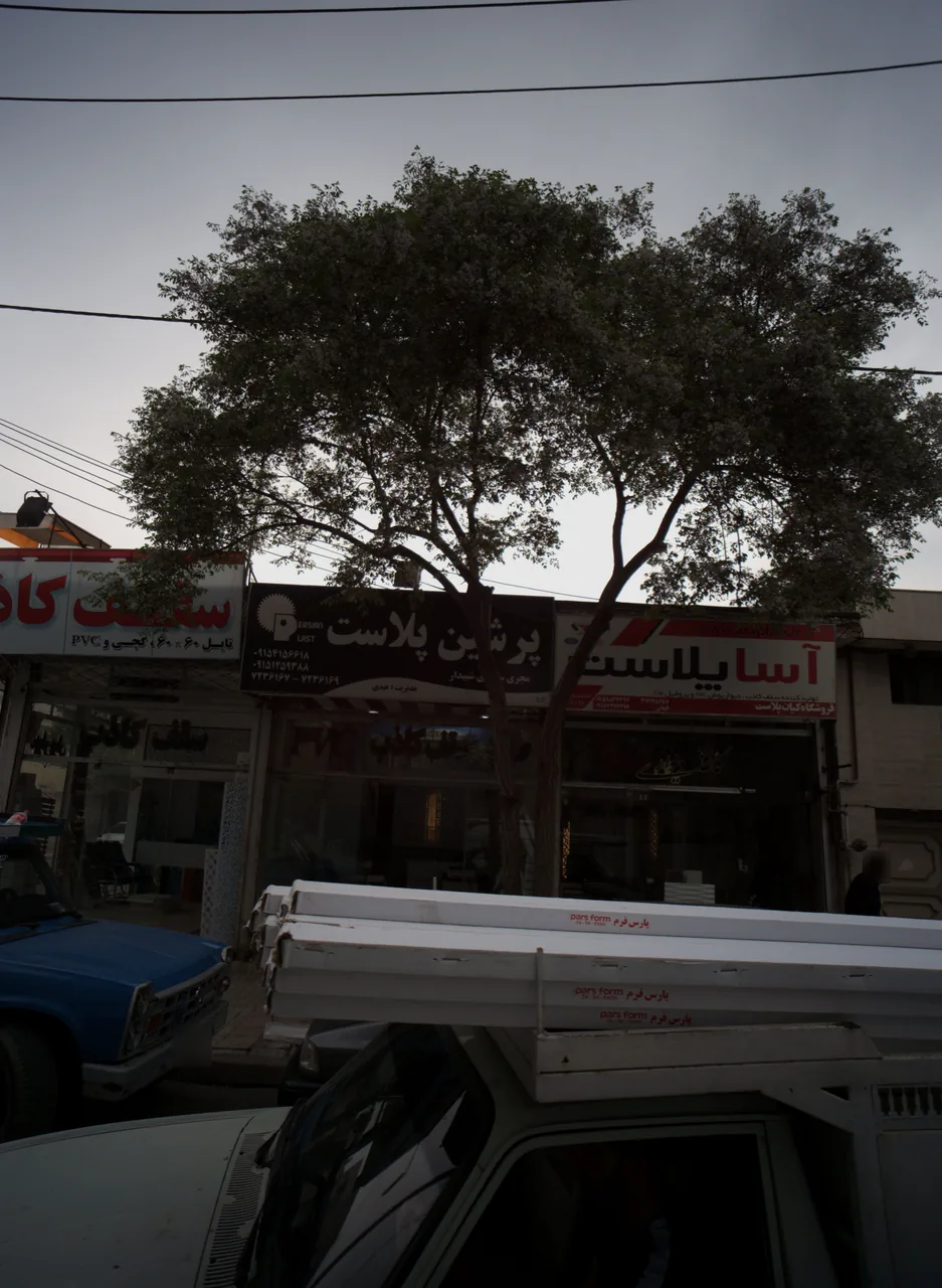 دکوراسیون داخلی پرشین پلاست